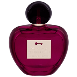 Antonio Banderas Her Secret Temptation