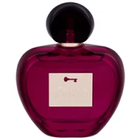 Antonio Banderas Her Secret Temptation