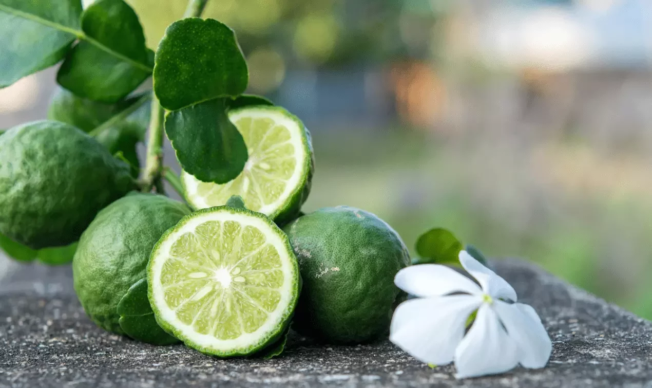 Bergamot parfums